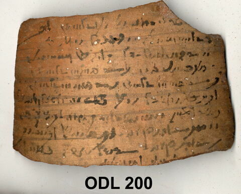 ostracon