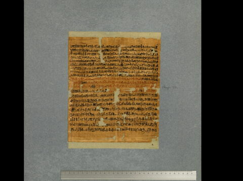 papyrus funéraire, image 2/2