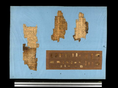 papyrus funéraire, image 2/2