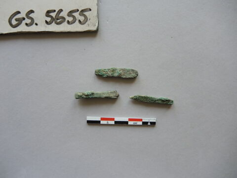 3 ; fragment ; spatule