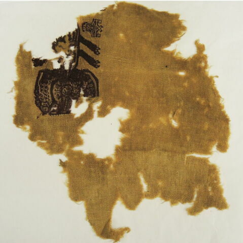 clavus ; fragment, image 2/2