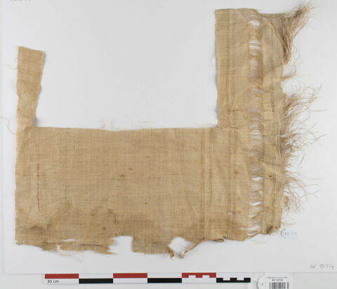 tissu ; fragment