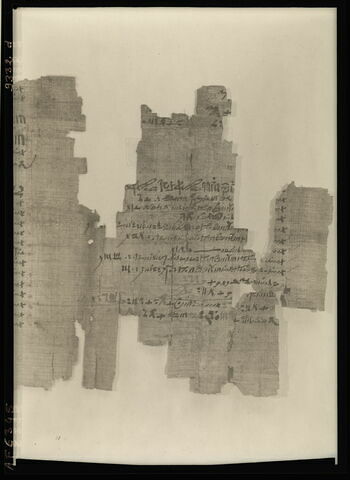 papyrus documentaire, image 8/18