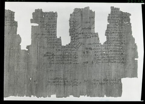 papyrus documentaire, image 15/18