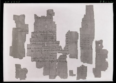 papyrus documentaire, image 18/18