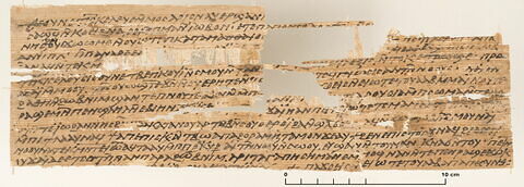 papyrus documentaire, image 2/2