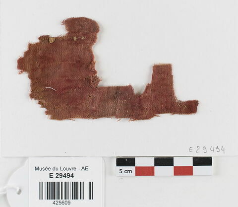 tissu ; fragment