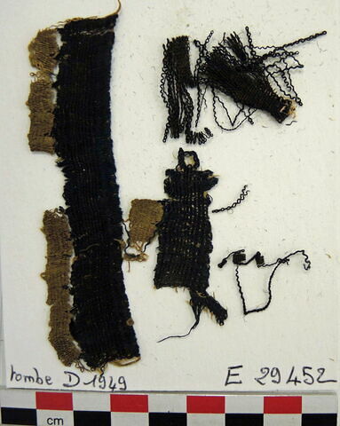 tissu ; fragments ; fragments, image 2/2