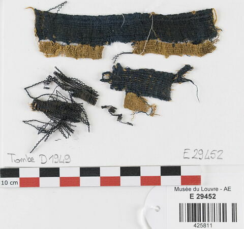 tissu ; fragments ; fragments