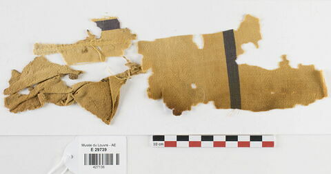 tissu ; fragments ; fragments