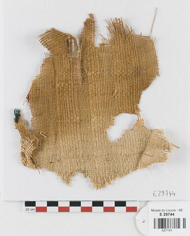 tissu ; fragment