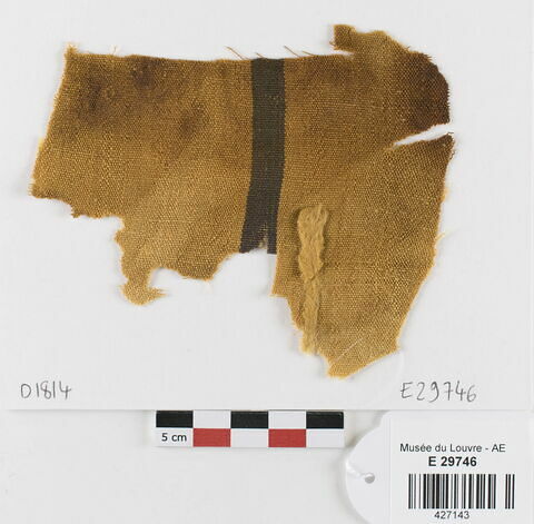 tissu ; fragment