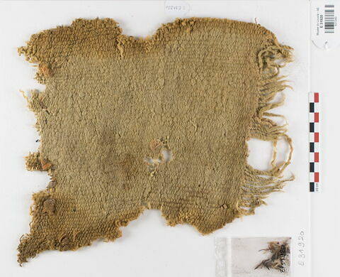 tissu ; fragment