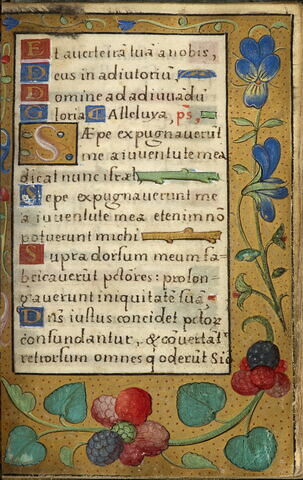 Livre d'heures à l'usage de Paris, image 14/29