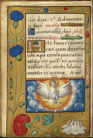 Livre d'heures à l'usage de Paris, image 8/29