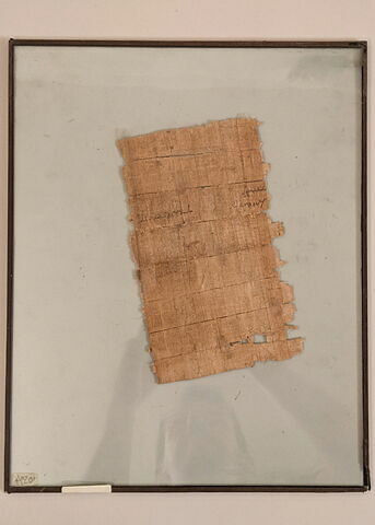 papyrus, image 2/2