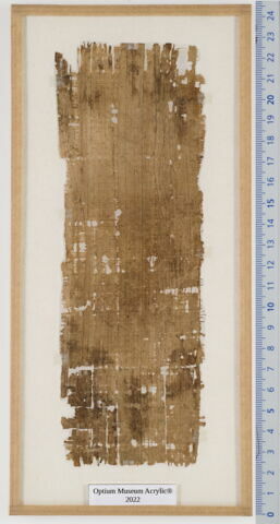 papyrus documentaire, image 2/2