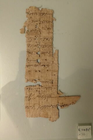 papyrus