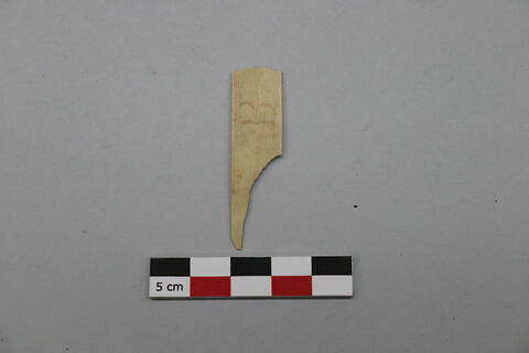 manche, fragment