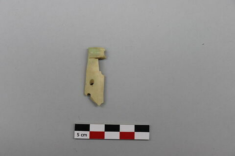 manche, fragment