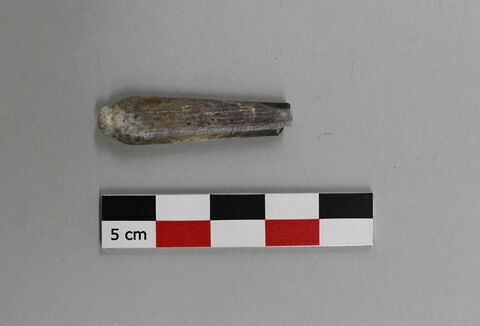 manche, fragment