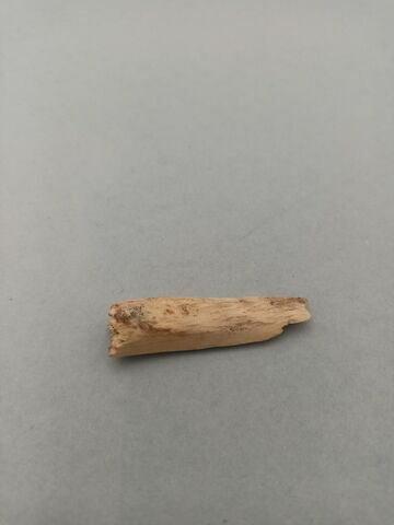 manche, fragment