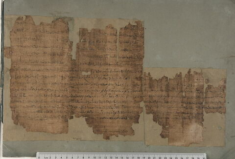 papyrus documentaire