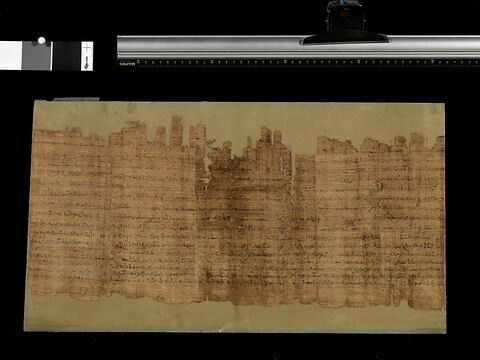 papyrus documentaire, image 2/2