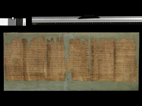 papyrus documentaire, image 2/2