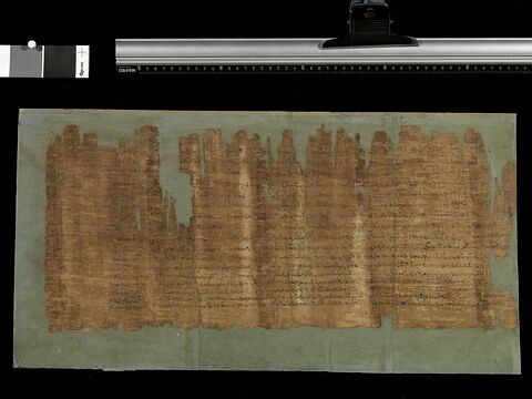 papyrus documentaire, image 2/2