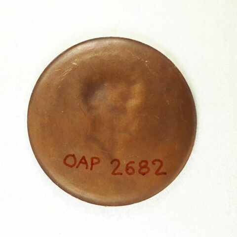 Hommage des Lyonnais à Bonaparte pour l'obtention de la paix générale, 18 brumaire an X (9 novembre 1801), image 2/2