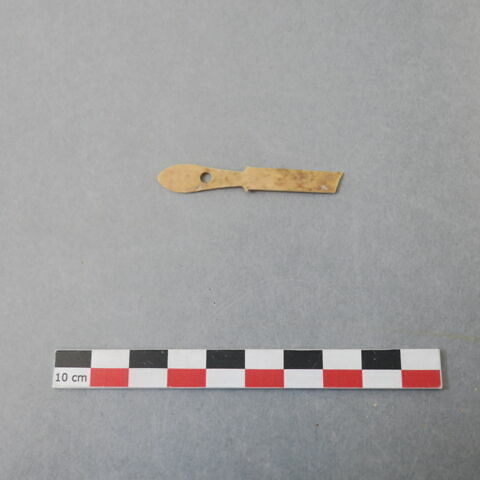 manche, fragment