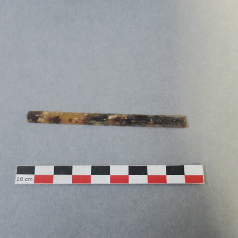 manche, fragment