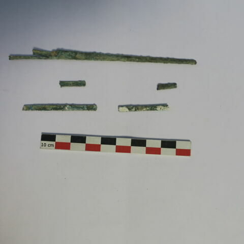 tige fragment ; tube