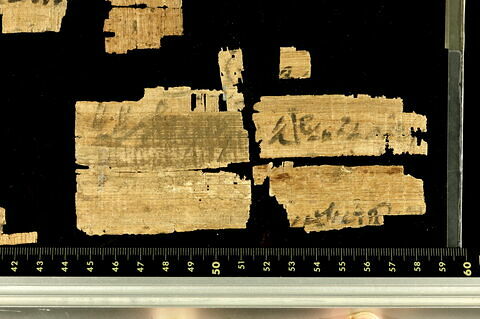 papyrus documentaire