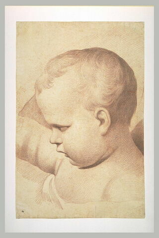 Tête d'enfant, vue de profil, image 2/2