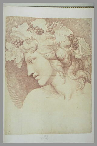 Tête de Bacchus, image 2/2