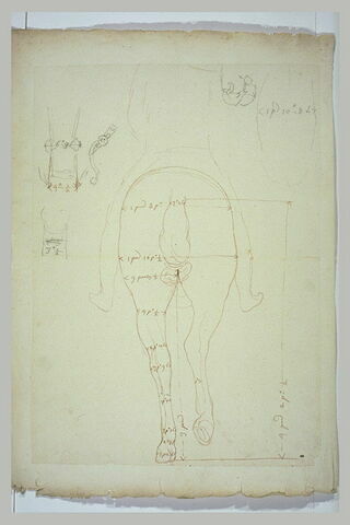 Cheval et esquisse du cavalier, vus de dos, avec indications de mesures, image 2/2