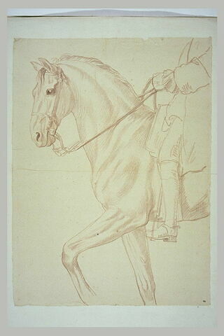 Partie antérieure d'un cheval et indication du cavalier, vus de profil vers la gauche, image 2/2