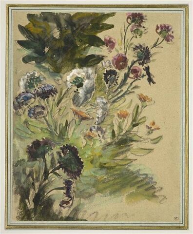 Etude de fleurs : soucis, hortensias et reines marguerites