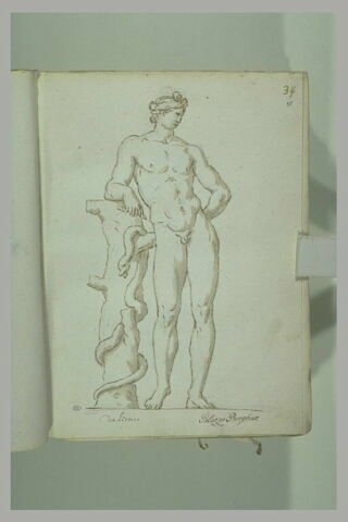 Jeune homme nu, vue de face, la tête de profil vers la droite, accoudé..., image 2/2