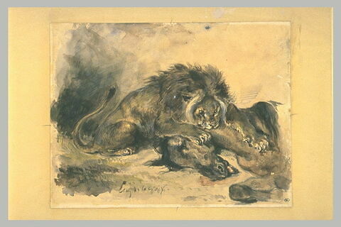 Lion dévorant un cheval, image 2/2