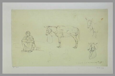 Etudes de trois figures, de trois ânes et d'un cheval à Beyrouth, image 2/2