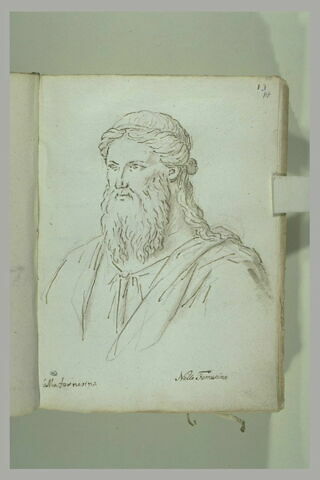 Buste d'homme barbu, tourné vers la gauche, image 2/2