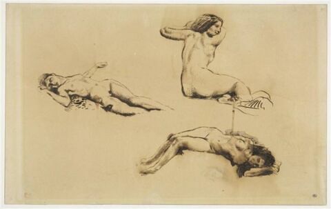 Trois études de femme nue étendue, et croquis d'une tête