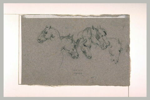 Six têtes de chevaux, image 2/2