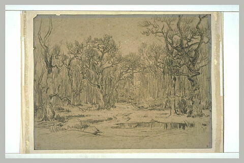 La forêt en hiver, image 2/2