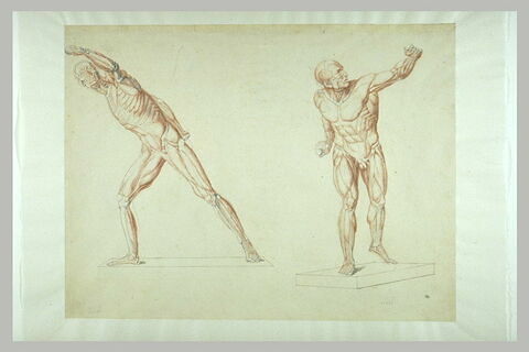 Deux études de myologie d'après le Gladiateur Borghèse, vu de face et de..., image 2/2