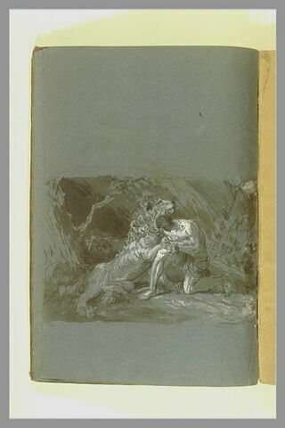 Homme soignant la patte d'un lion, image 3/3
