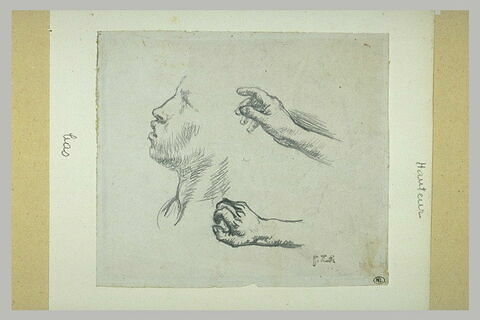 Visage de profil, et deux mains, image 2/2